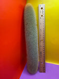 Weberbauerocereus johnsonii - this exact 1 foot cutting