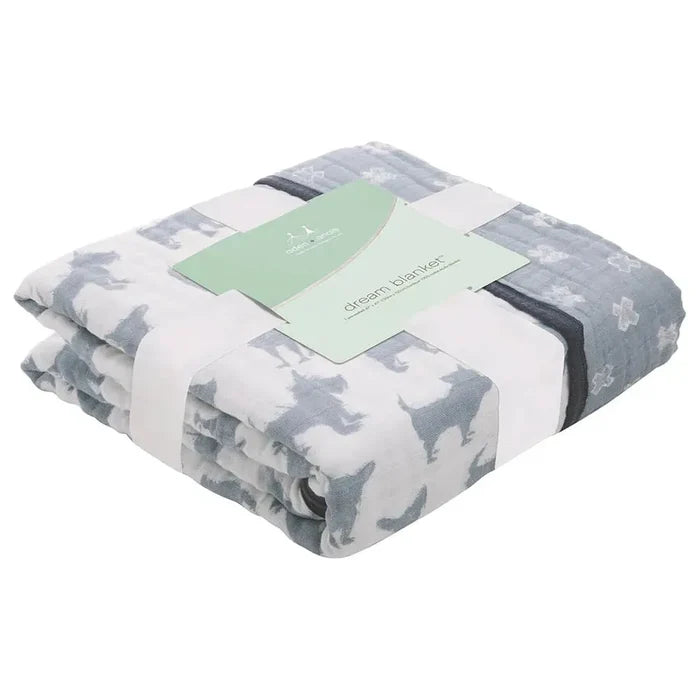 aden-anais-dream-blanket