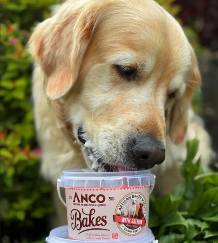 Anco - Bakes - Salmon (250g)