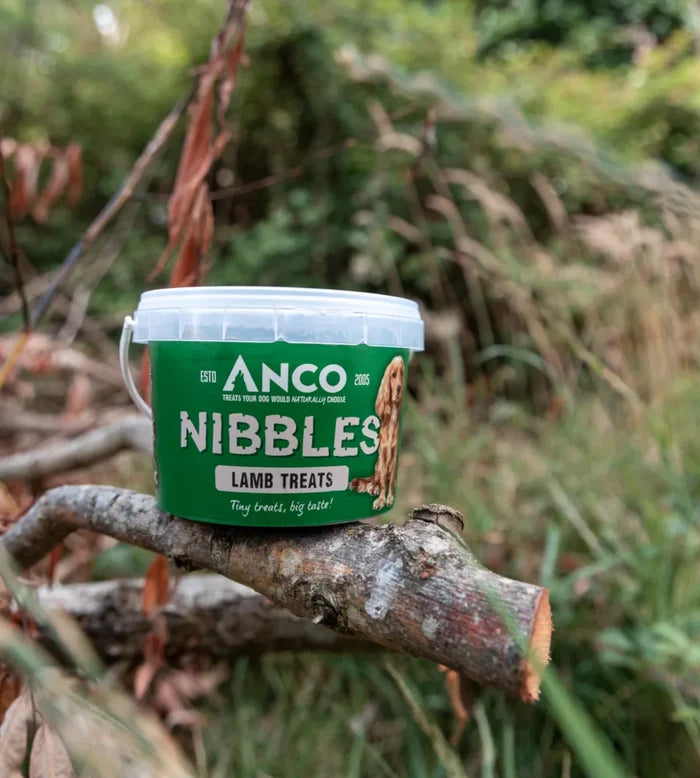 Anco - Nibbles - Lamb Treats (300g)