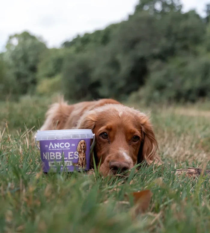 Anco - Nibbles - Turkey Treats (300g)