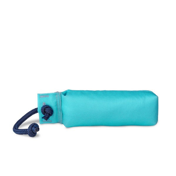 CoA - Coachi Training Dummy