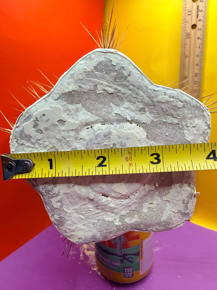 CSD !!! 4” thick
