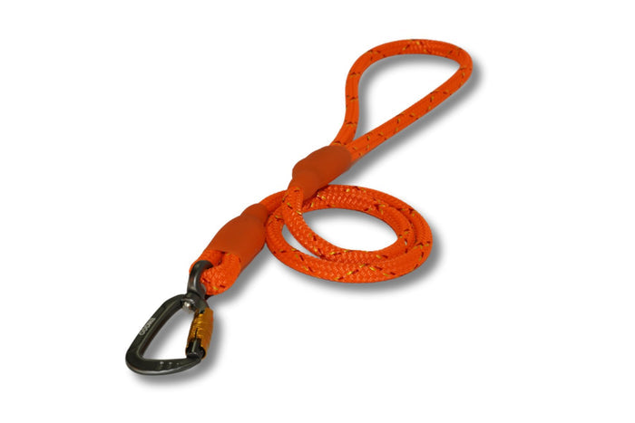 DNA - Ascent Rope Lead