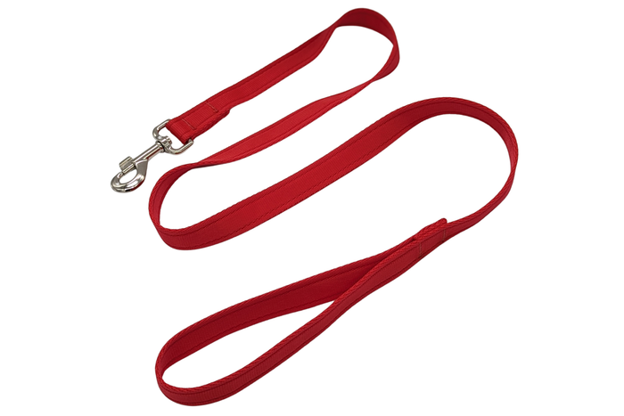 DNA - Explorer Lead - 1.5M