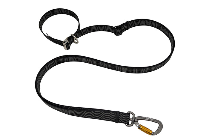 DNA - Explorer Multi-Lead