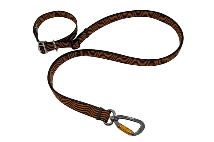 DNA - Explorer Multi-Lead