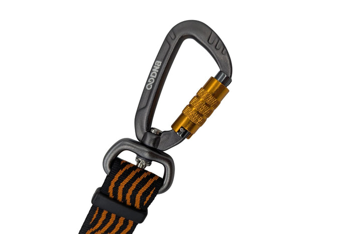 DNA - Explorer Multi-Lead