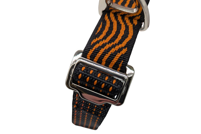 DNA - Explorer Multi-Lead