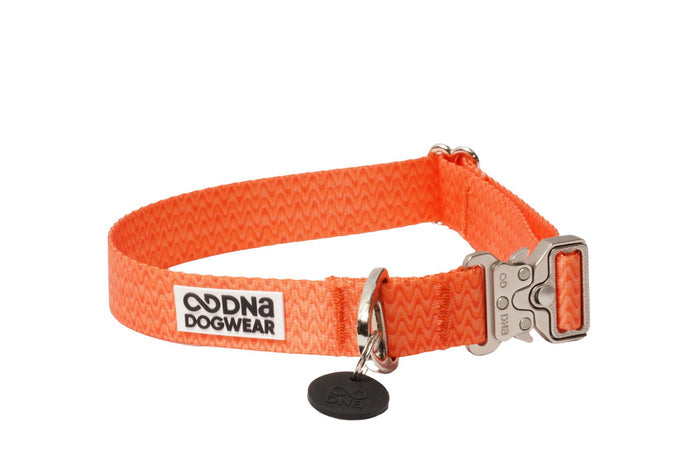 DNA - Solid Pro Collar