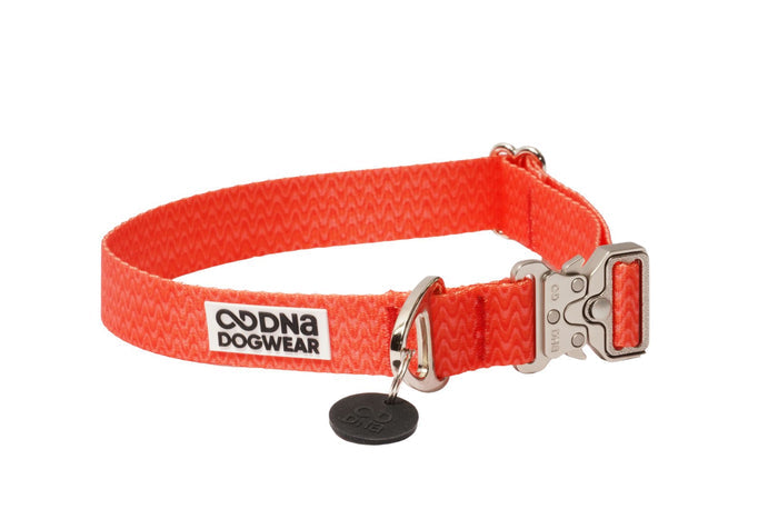 DNA - Solid Pro Collar
