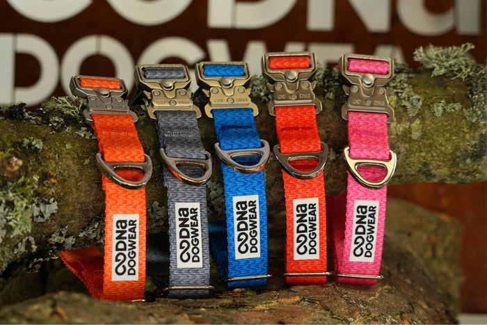DNA - Solid Pro Collar