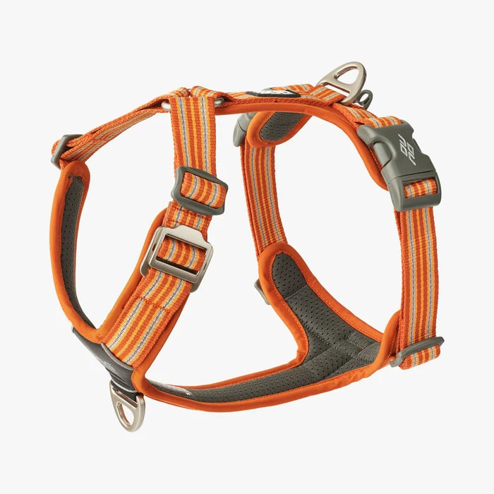 Stock image of the Comfort Walk Air in Orange Sun, a harness with two lead attachments and a handle, and a striped pattern, on a white background.