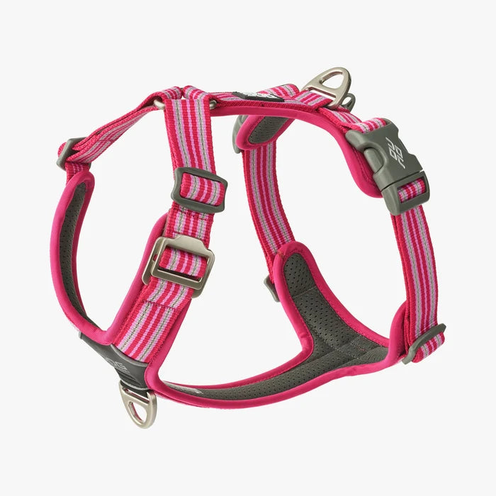 Stock image of the Comfort Walk Air in Wild Rose, a harness with two lead attachments and a handle, and a striped pattern, on a white background.