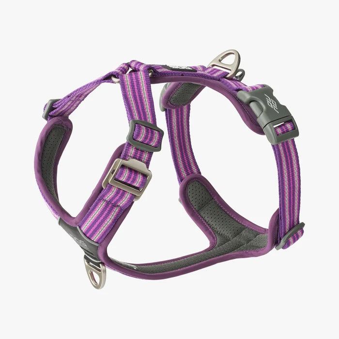 Stock image of the Comfort Walk Air in Purple Passion, a harness with two lead attachments and a handle, and a striped pattern, on a white background.