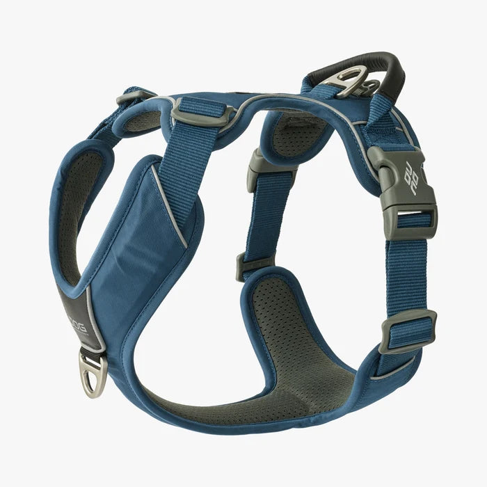 Stock image of the Comfort Walk Pro in Ocean Blue, a harness with two lead attachments and a handle, on a white background.