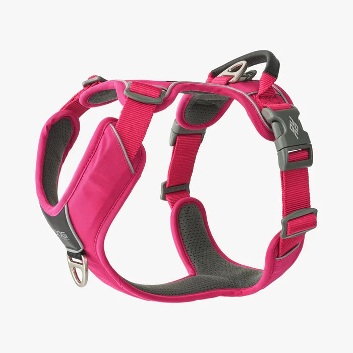 Stock image of the Comfort Walk Pro in Wild Rose, a harness with two lead attachments and a handle, on a white background.