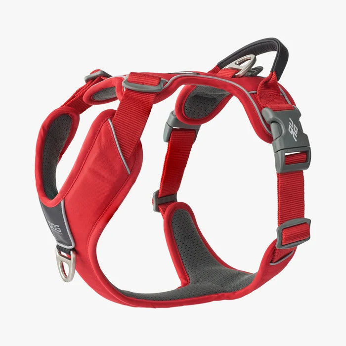 Stock image of the Comfort Walk Pro in Classic Red, a harness with two lead attachments and a handle, on a white background.