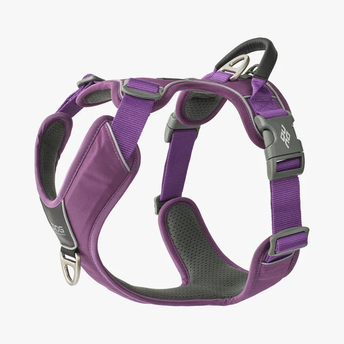 Stock image of the Comfort Walk Pro in Purple Passion, a harness with two lead attachments and a handle, on a white background.