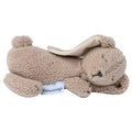 Doomoo Snoogy Bunny Biscuit Toy
