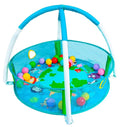 Fisher Price Circular Ball Pit With 25 Balls
