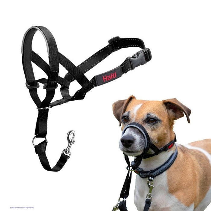 A stock image of the Halti Headcollar, modelled by a brown and white dog.