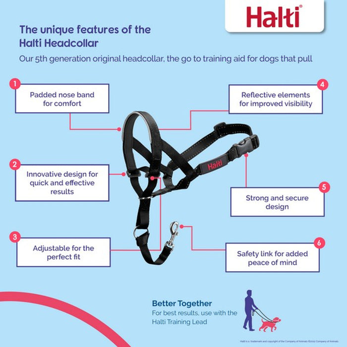 A blue infographic with all the features of the Halti Headcollar, describing all the key selling points. Including padded nose band, innovative design, adjustability, reflective elements, strong design and a safety link.
