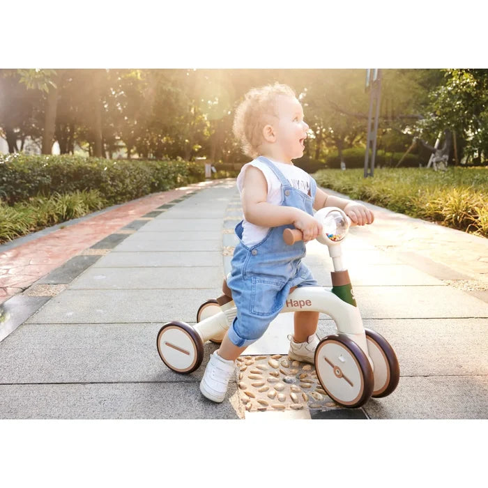 Hape Step By Step Tricycle