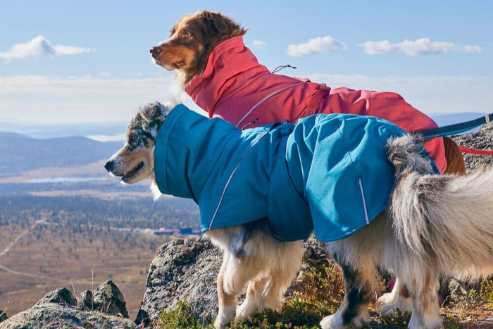 Hurtta - Expedition Parka II
