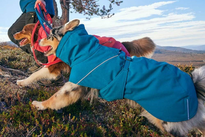 Hurtta - Expedition Parka II