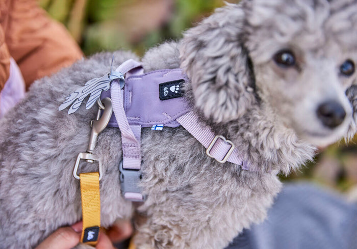 Hurtta - Seeker Harness