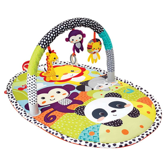 Infantino Explore & Store Activity Turtles Gym