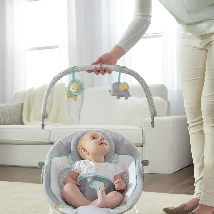 Ingenuity Soothing Bouncer (Morrison)