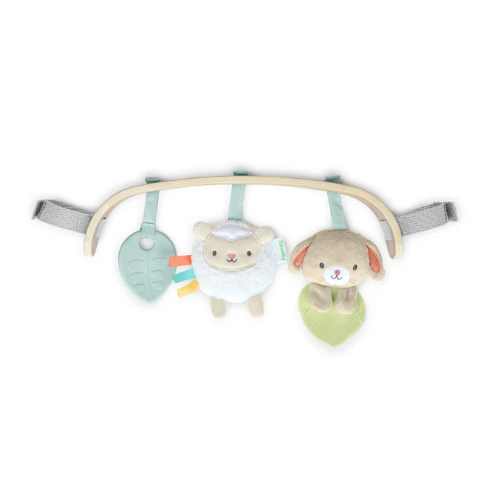 Ingenuity Wonder & Wood Carrier Toy Bar