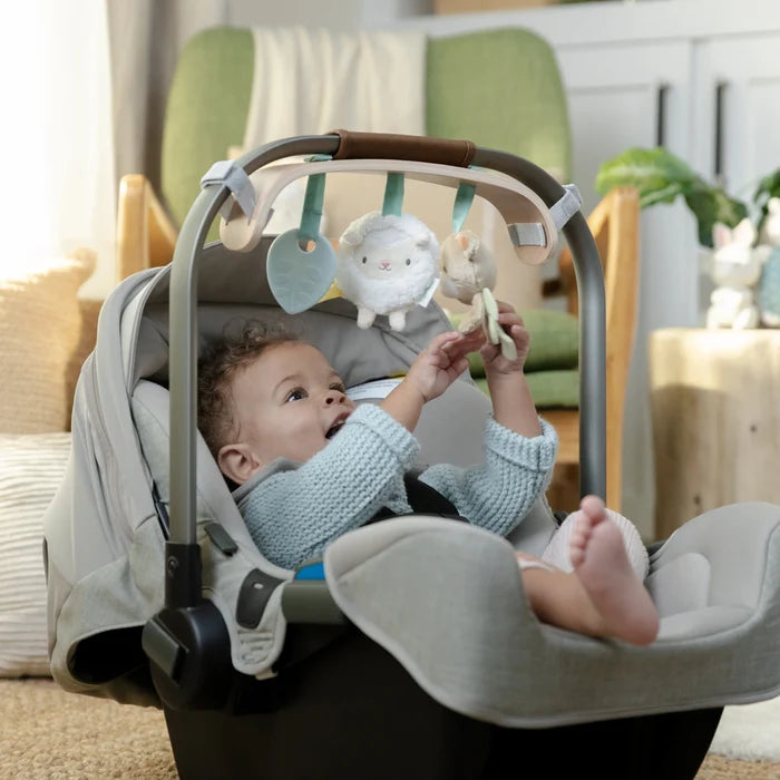 Ingenuity Wonder & Wood Carrier Toy Bar