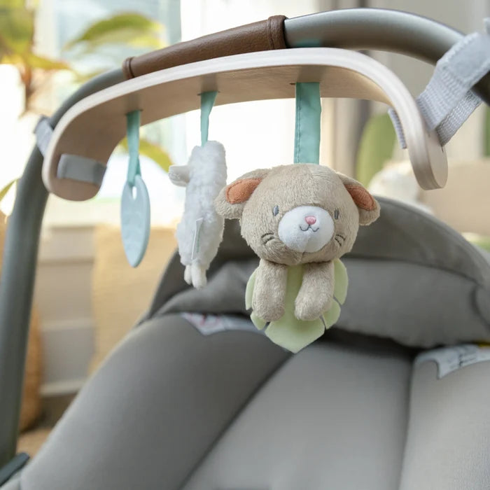 Ingenuity Wonder & Wood Carrier Toy Bar