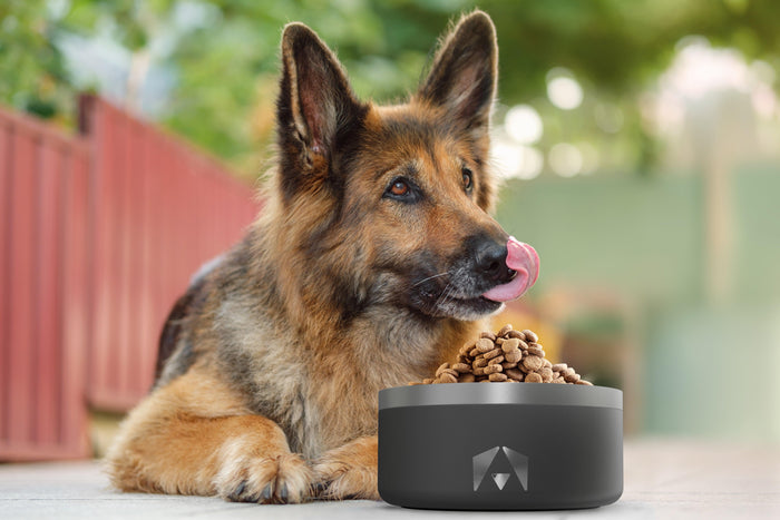 INVIROX DOG BOWL Non-Slip Stainless Steel (64 OZ) - INVIROX DOG TRAINING GEAR