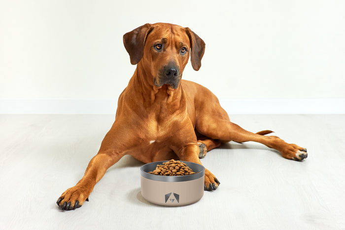 INVIROX DOG BOWL Non-Slip Stainless Steel (64 OZ) - INVIROX DOG TRAINING GEAR