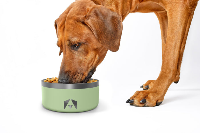 INVIROX DOG BOWL Non-Slip Stainless Steel (64 OZ) - INVIROX DOG TRAINING GEAR