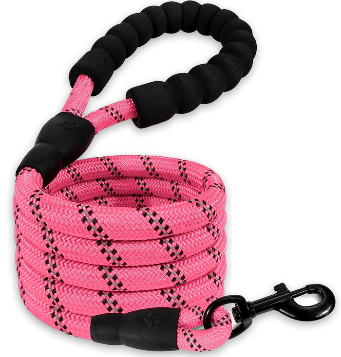 INVIROX Dog Leash - 5ft - INVIROX DOG TRAINING GEAR