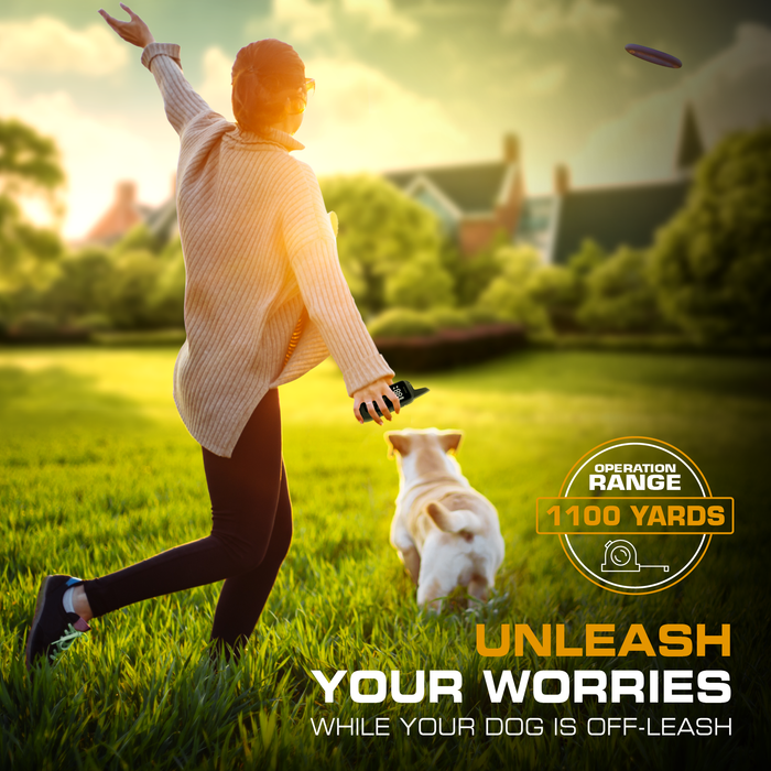 INVIROX Dog Training Collar - 2026 Edition