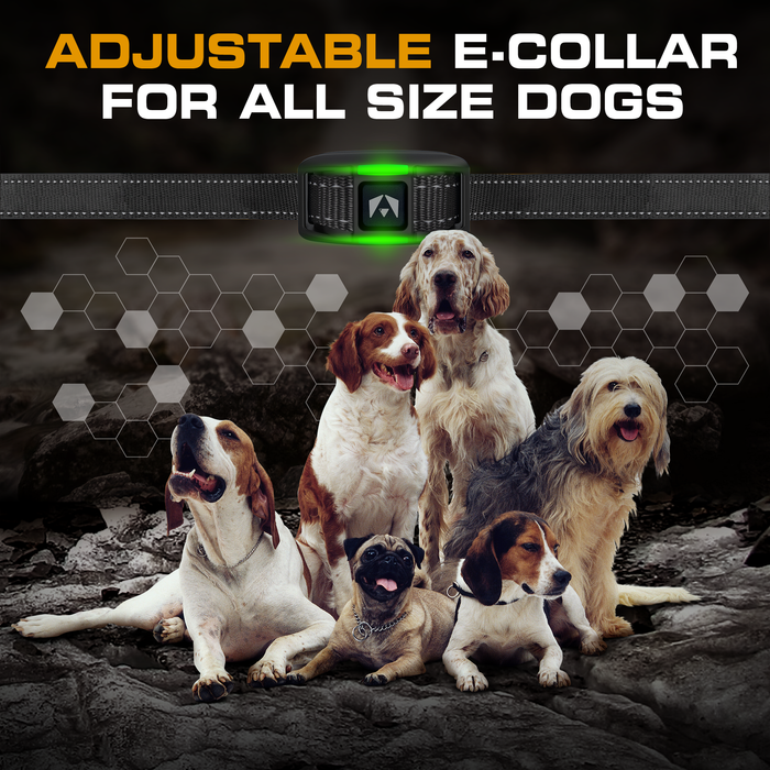 INVIROX Dog Training Collar - 2026 Edition