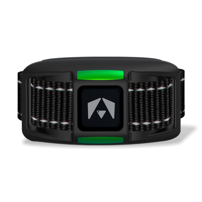 INVIROX Dog Training Collar - INVIROX DOG TRAINING GEAR