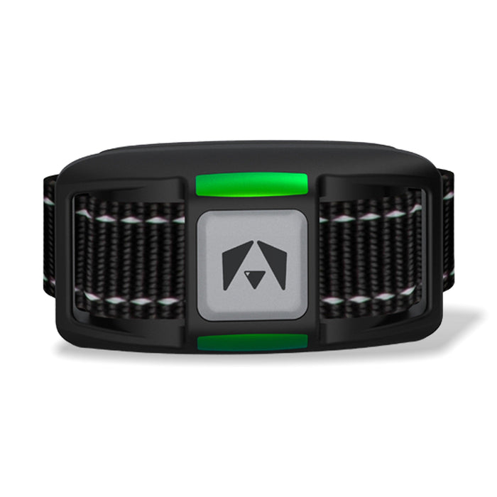 INVIROX Dog Training Collar - INVIROX DOG TRAINING GEAR