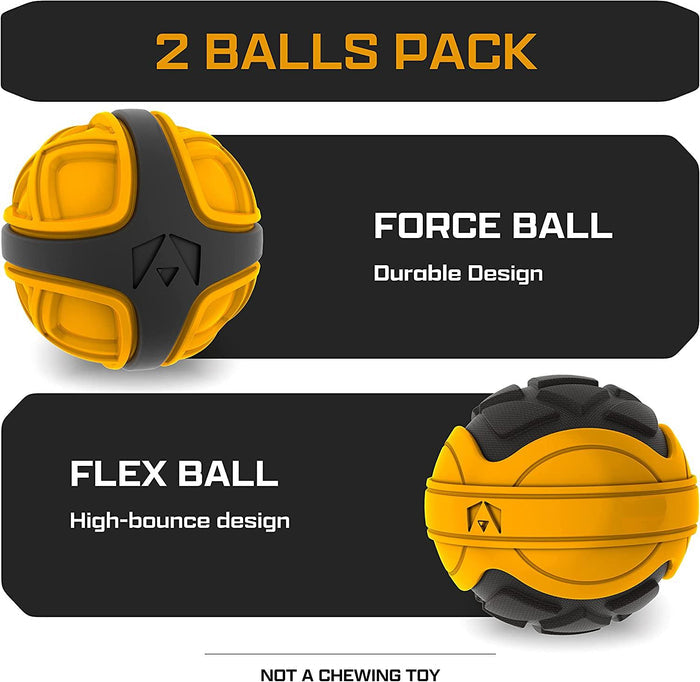INVIROX Fetch Ball Set Dog Toys - INVIROX DOG TRAINING GEAR