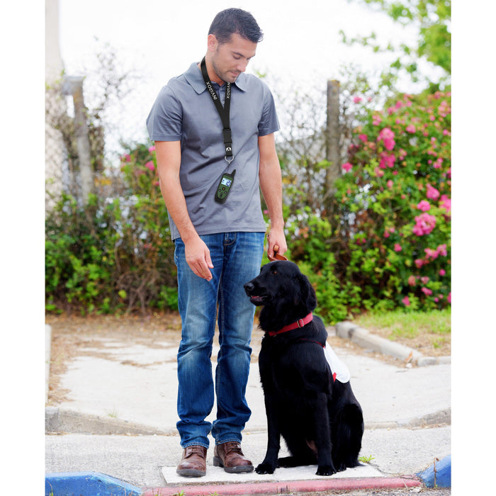 INVIROX SPARK K-9 LANYARD - INVIROX DOG TRAINING GEAR