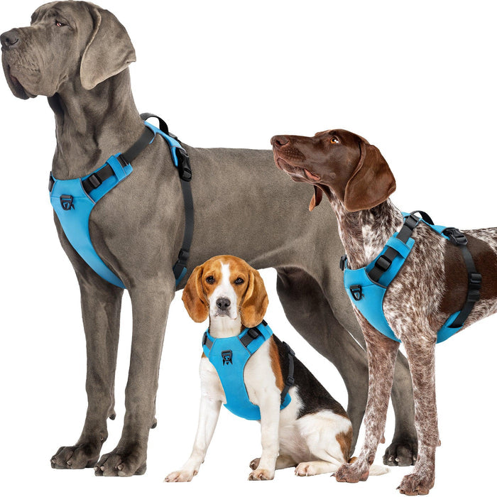 INVIROX X-PRO DOG HARNESS - INVIROX DOG TRAINING GEAR