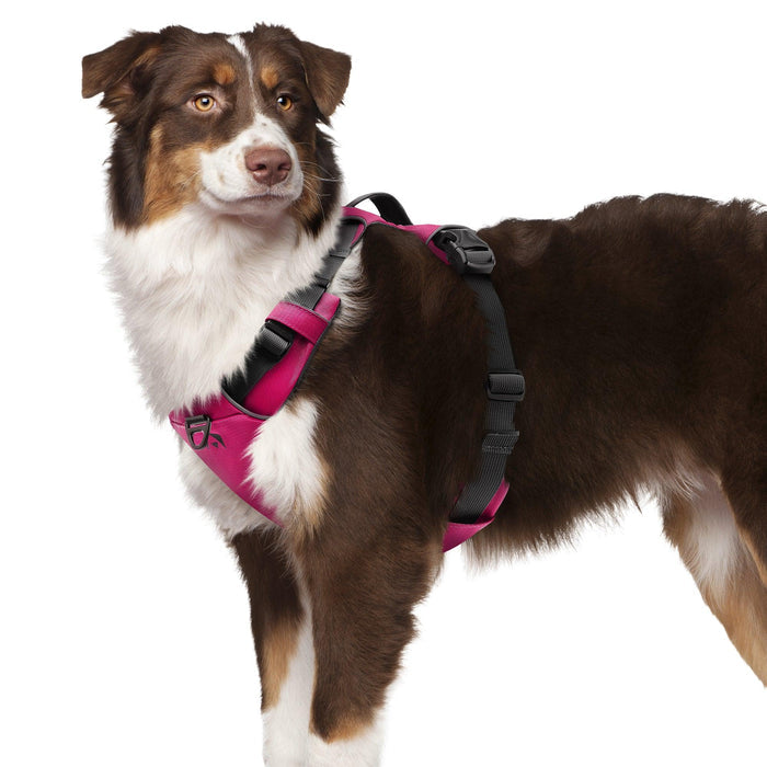 INVIROX X-PRO DOG HARNESS - INVIROX DOG TRAINING GEAR