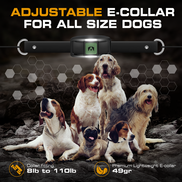 INVIROX X2 SPARK K9 Dog Training Collar - INVIROX DOG TRAINING GEAR
