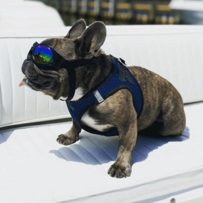 K9 Sport Sack - Goggles